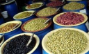 Медики выяснили, какой продукт лучше всего укрепляет кости