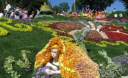 Виставка квітів на Співочому полі відкриється 16 травня
