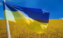 Синьо-жовтий чи жовто-синій:цікаві факти про прапор України