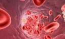 Как повысить количество лейкоцитов в крови Как повысить количество лейкоцитов в крови
