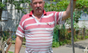 Гадюка у дворі