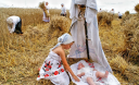 Жнива:українські традиції збору урожаю