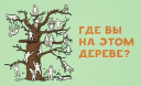 Где вы на этом дереве?