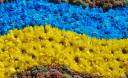 24 способи незвично відзначити День Незалежності 24 способи незвично відзначити День Незалежності