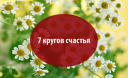 Семь кругов счастья