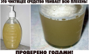 Чистящее средство от плесени своими руками!