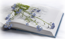 11 поетичних новинок до Книжкового Арсеналу