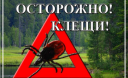 Клещи начали массовую атаку на Украину Клещи начали массовую атаку на Украину