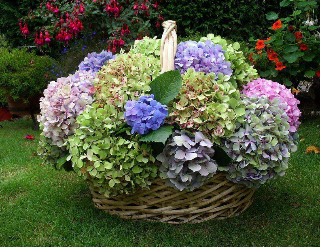 Світ, в якому ти живеш - 2