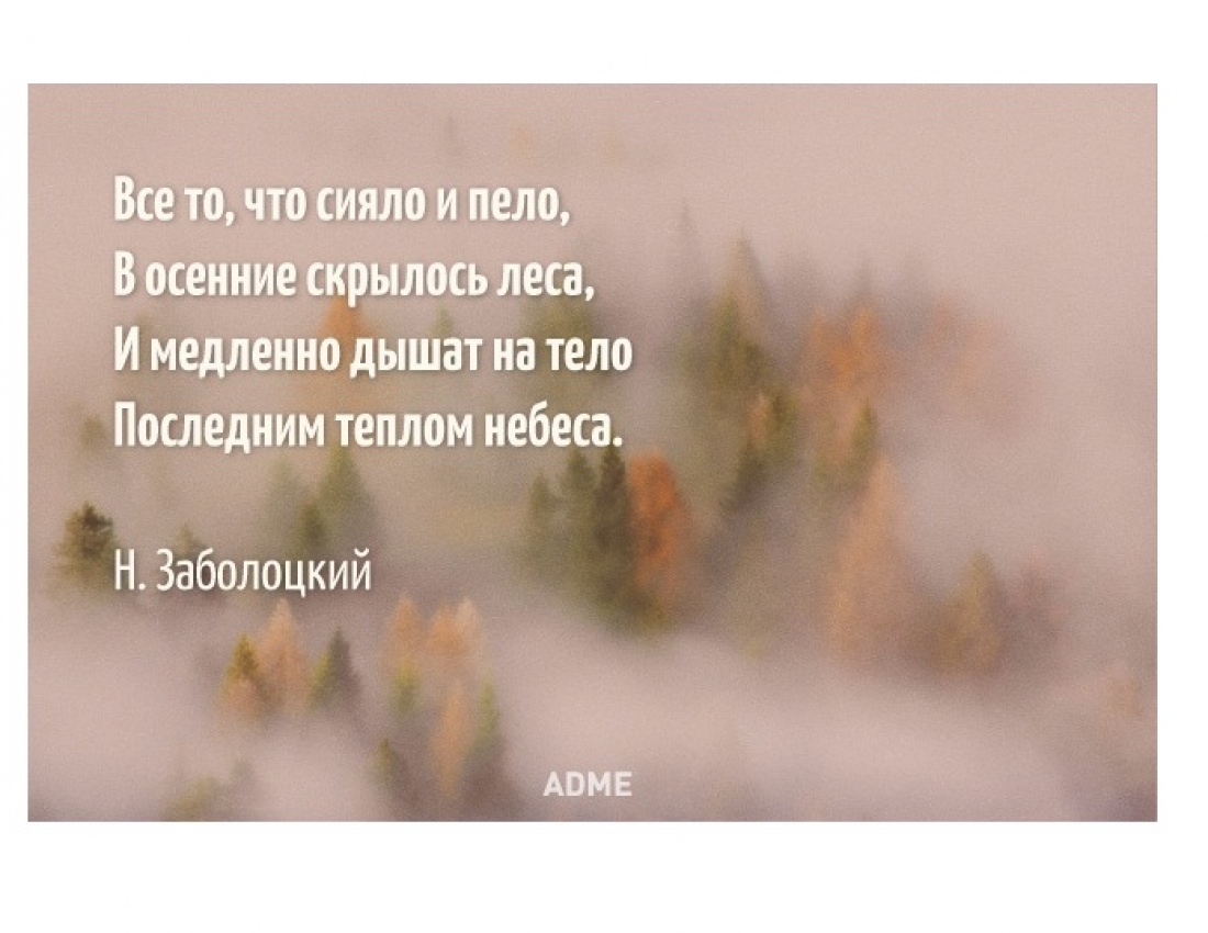 Щирі, поетичні освідчення НАЙПРЕКРАСНІШІЙ...