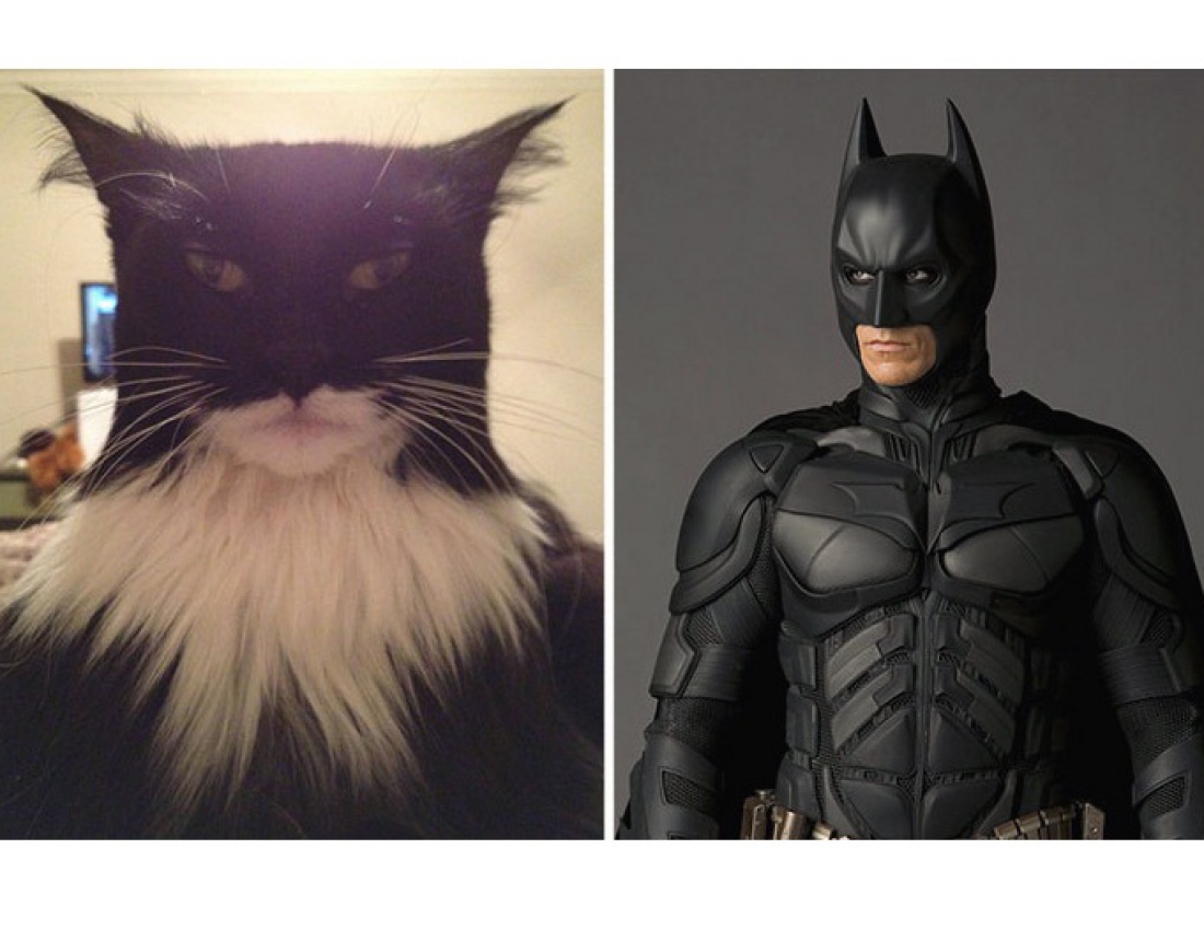 Дивовижна схожість ... :-)