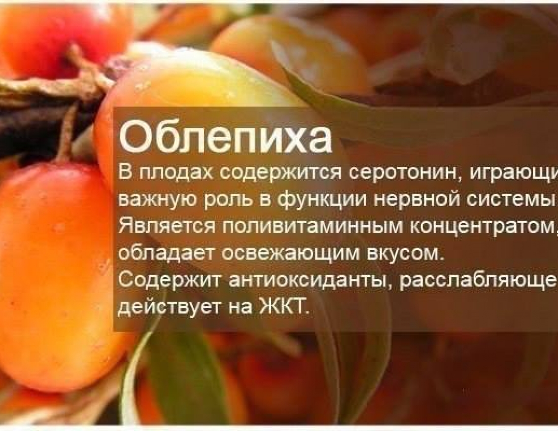 Фруктова абетка
