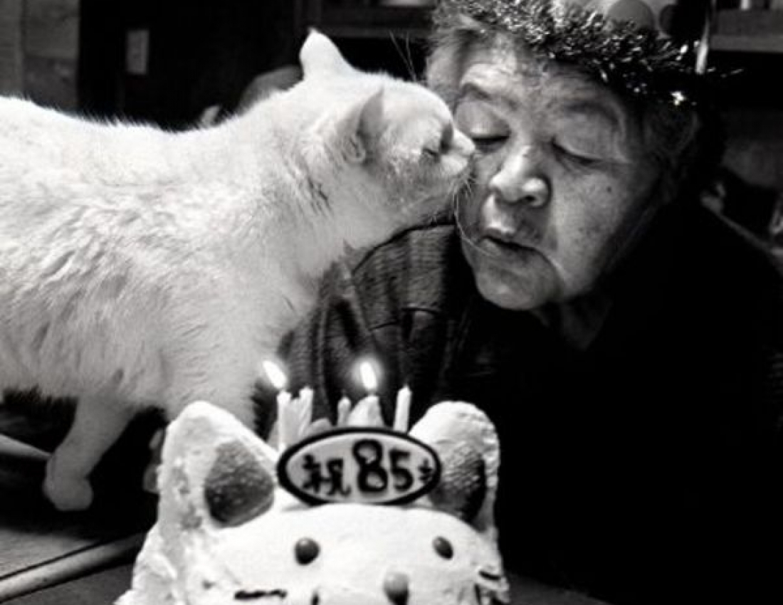 Старенька і кіт