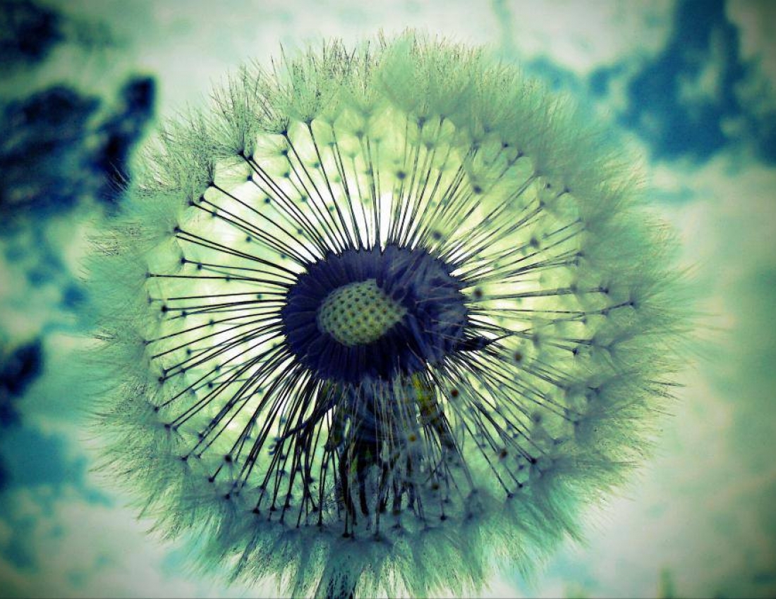 Світ, в якому ти живеш - 2