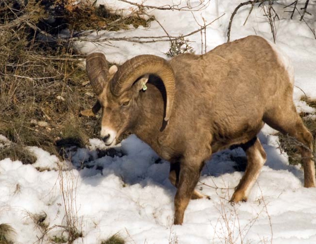 Цікавий світ природи