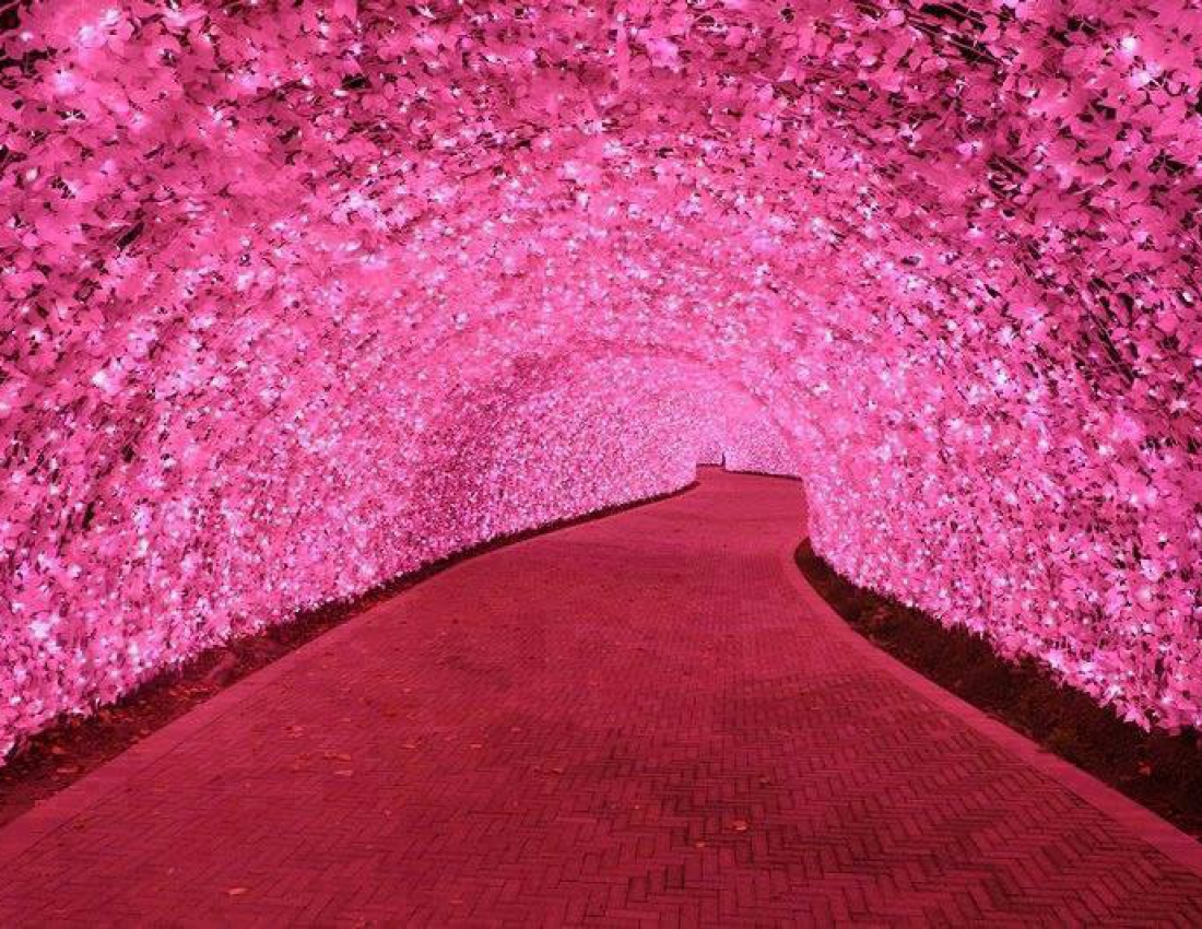 Зоряний тунель