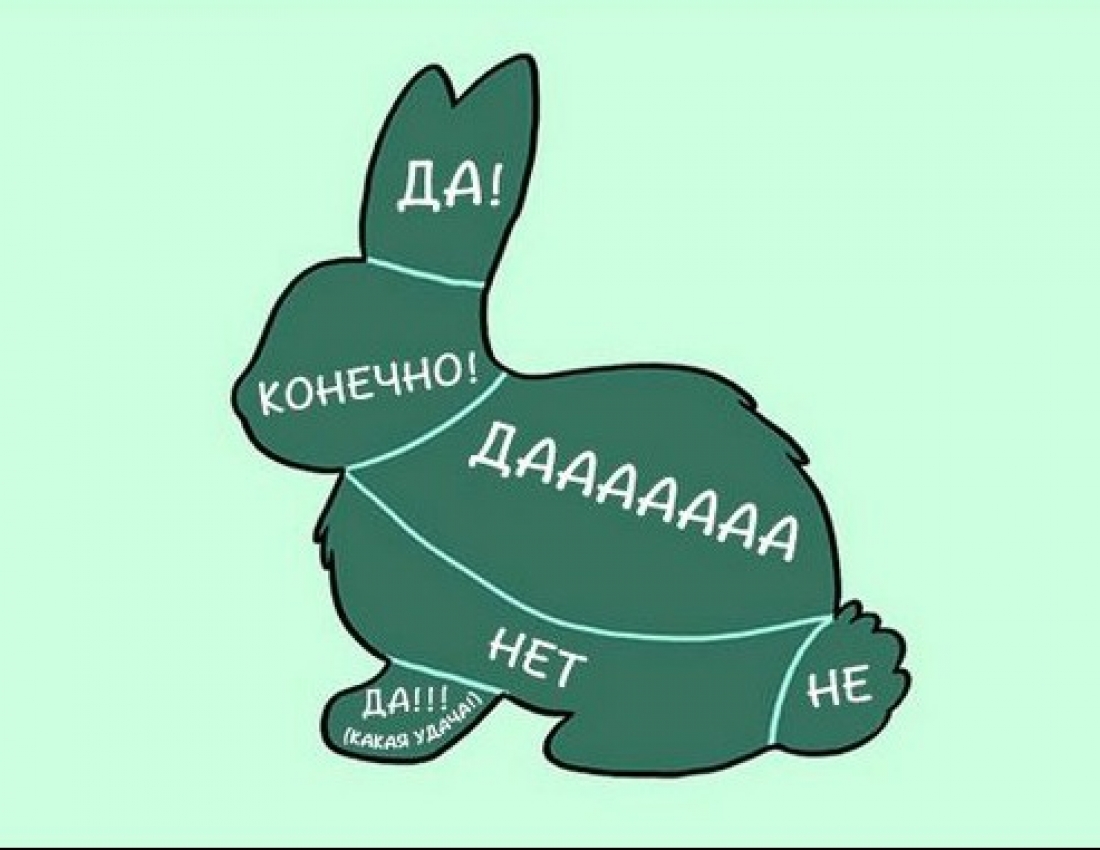 Як правильно гладити тварин