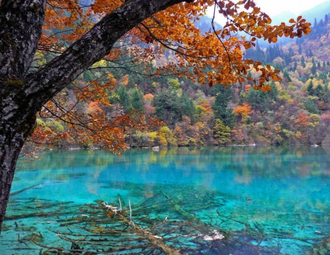 Місця на планеті, де природа не пожалкувала фарб