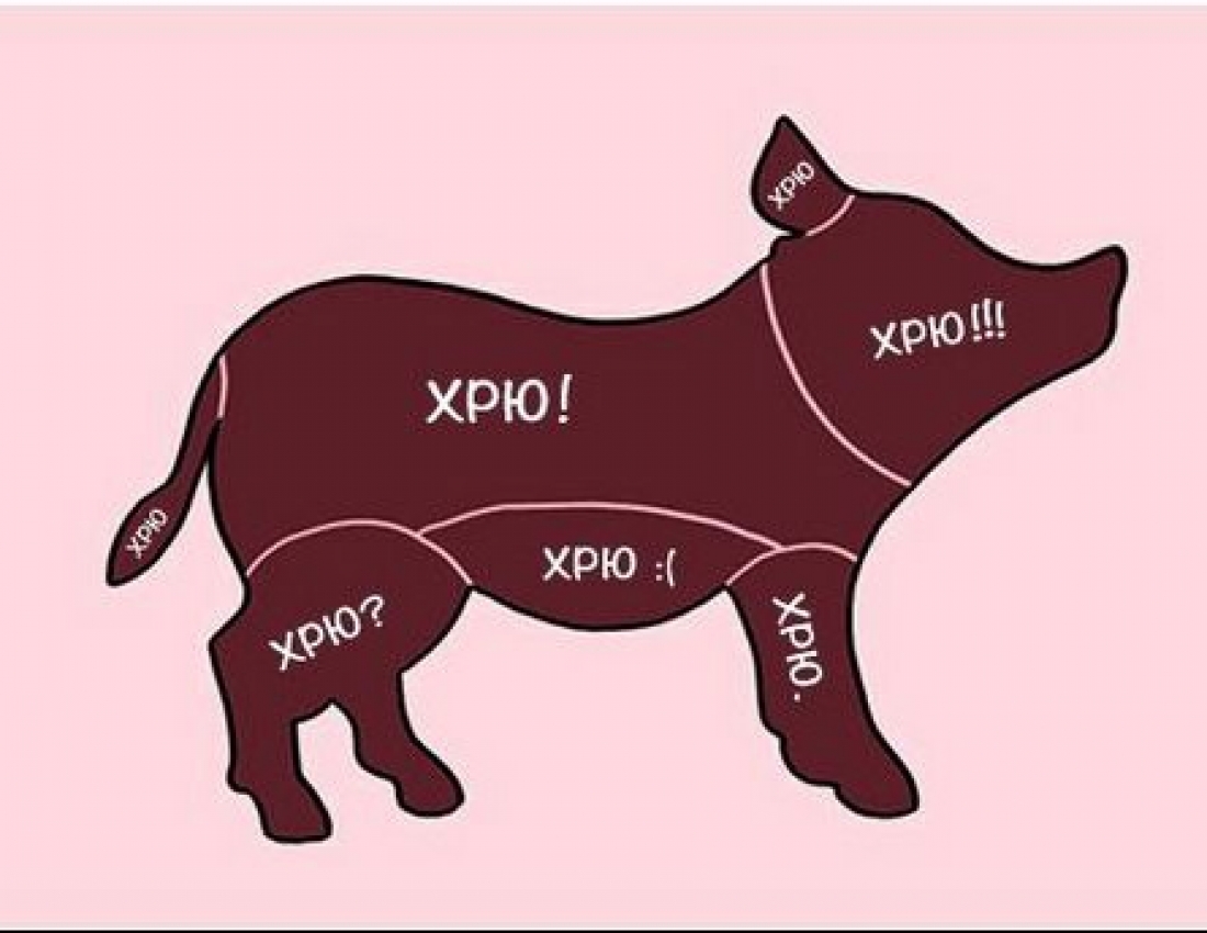 Як правильно гладити тварин