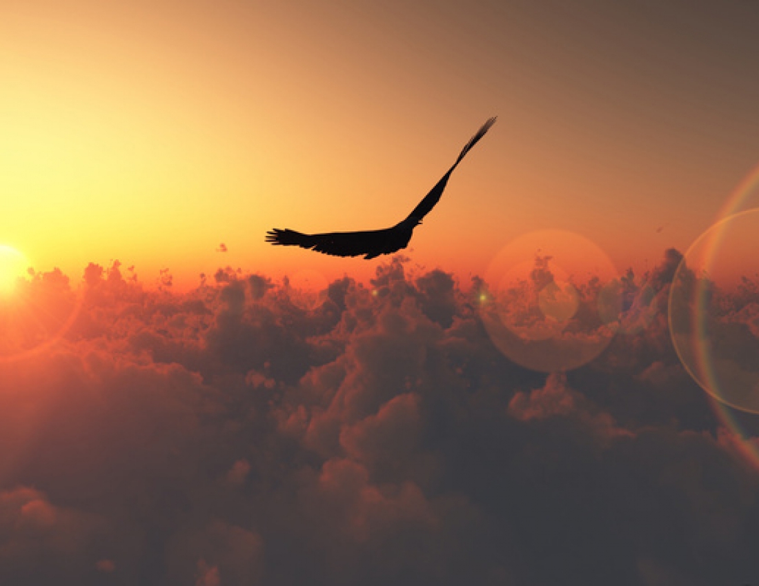 Чому я не сокіл, чому не літаю...