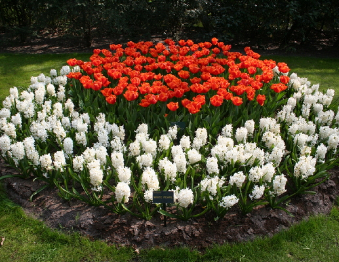 Прибудинкова казка своїми руками