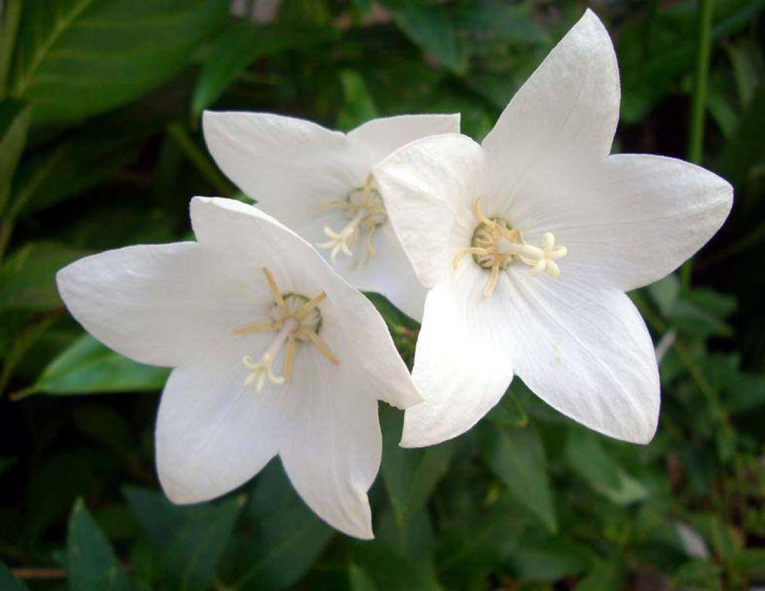 Світ, в якому ти живеш - 2