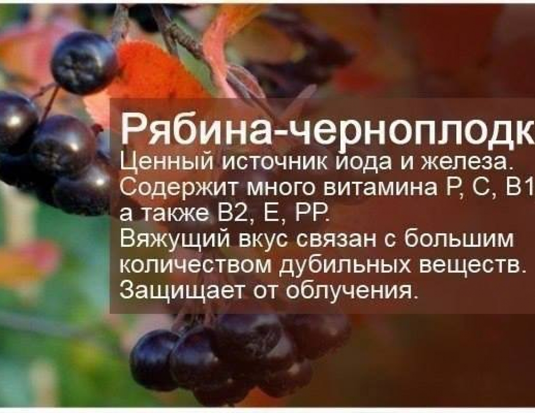 Фруктова абетка