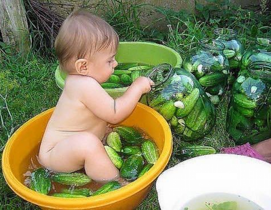 Is it my fault that I was found among cucumbers??