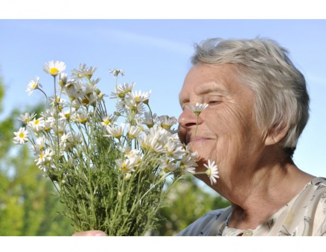 Фото тижня - 14.03.2016р.