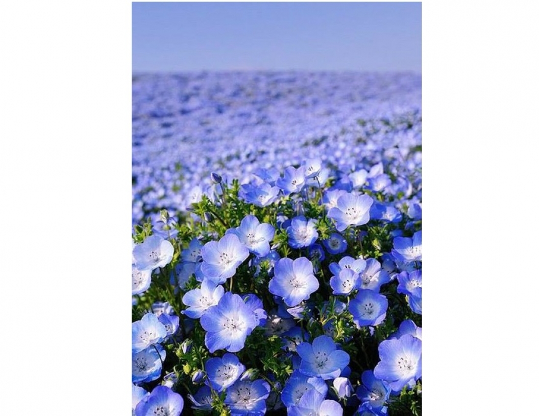 Теплого вечора, миру в оселі, спокою в серці, щастя в очах...