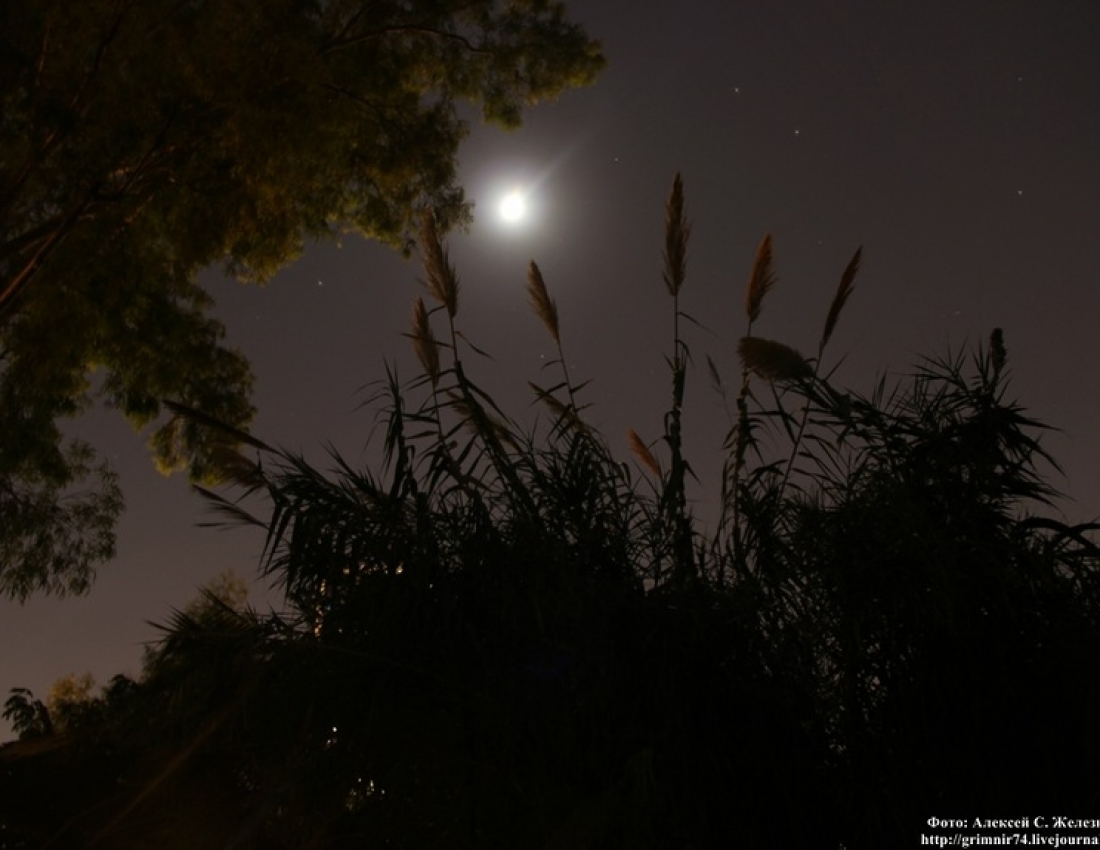 Доброї та ніжної всім української ночі!