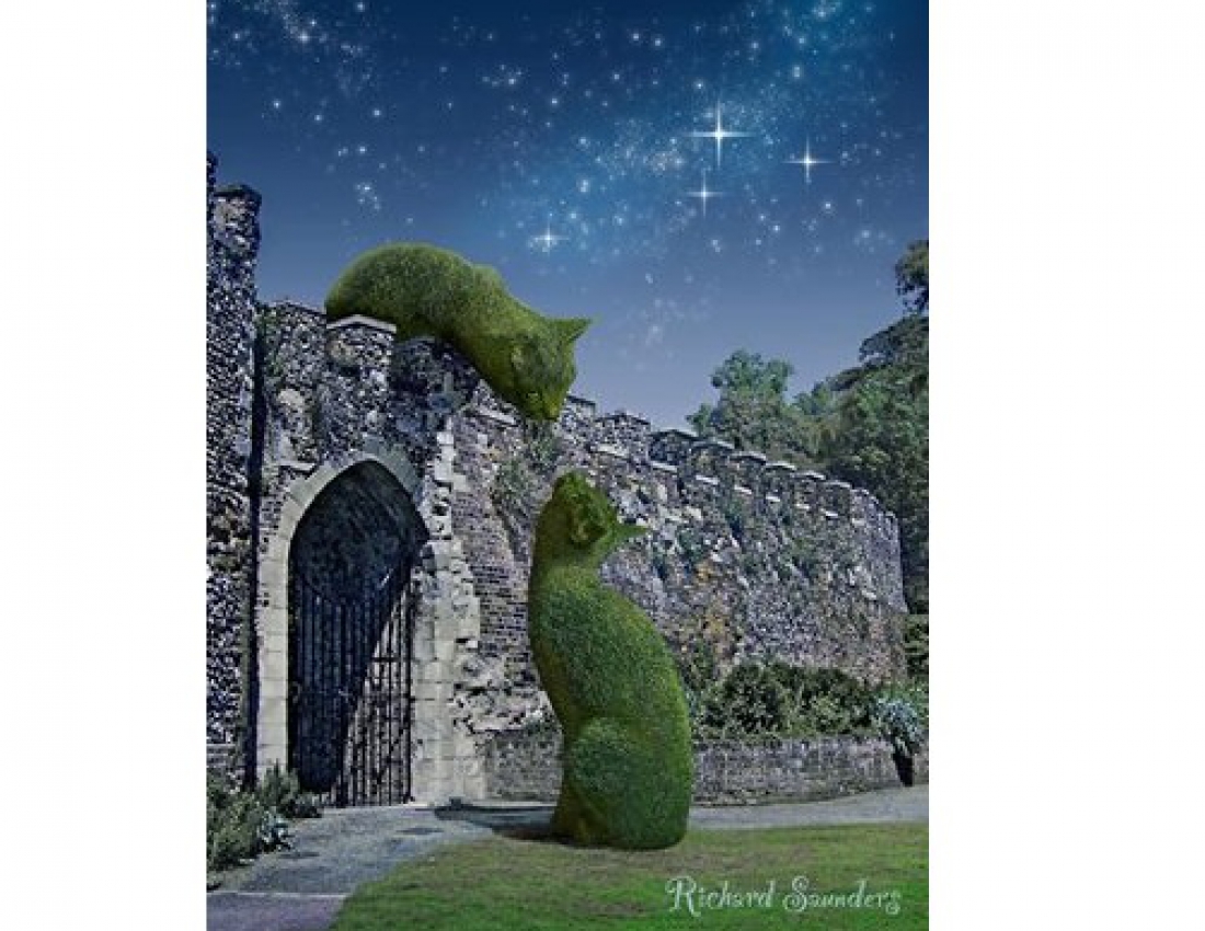 Дива топіарного мистецтва ... або котики-кущики