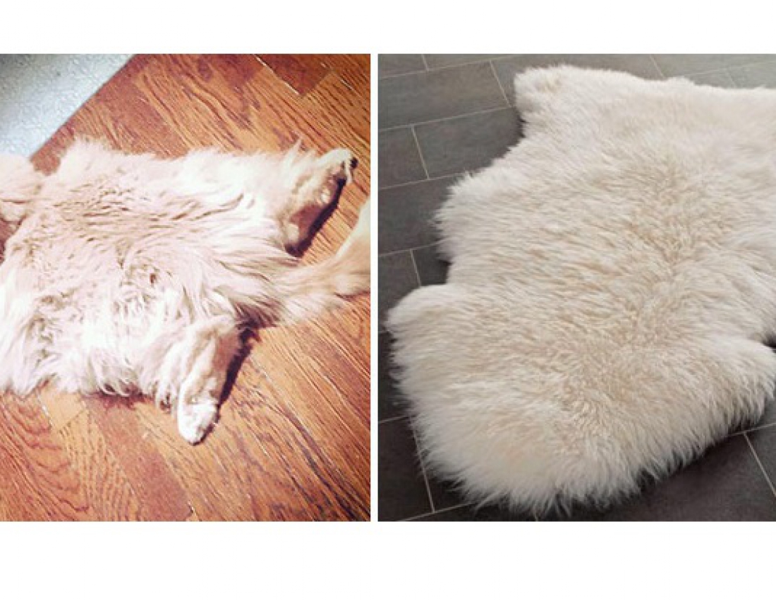 Дивовижна схожість ... :-)