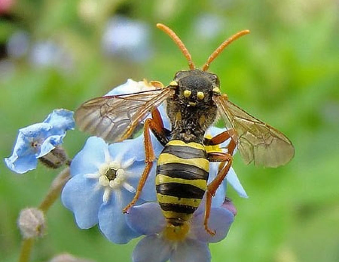 Цікавий світ природи - 4