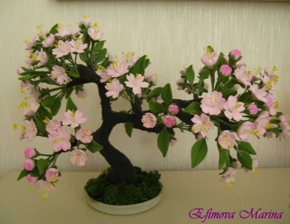 Дивовижний бонсай: коли ліс і сад  у тебе вдома...