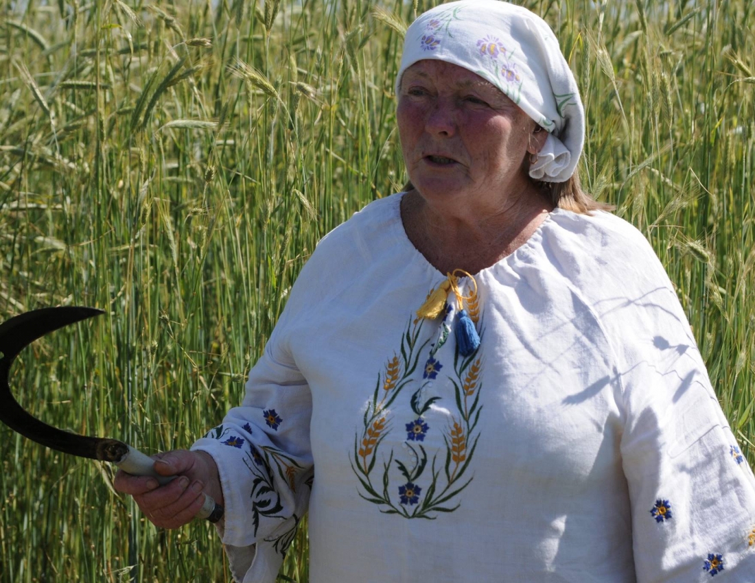 Зачинателі жнив