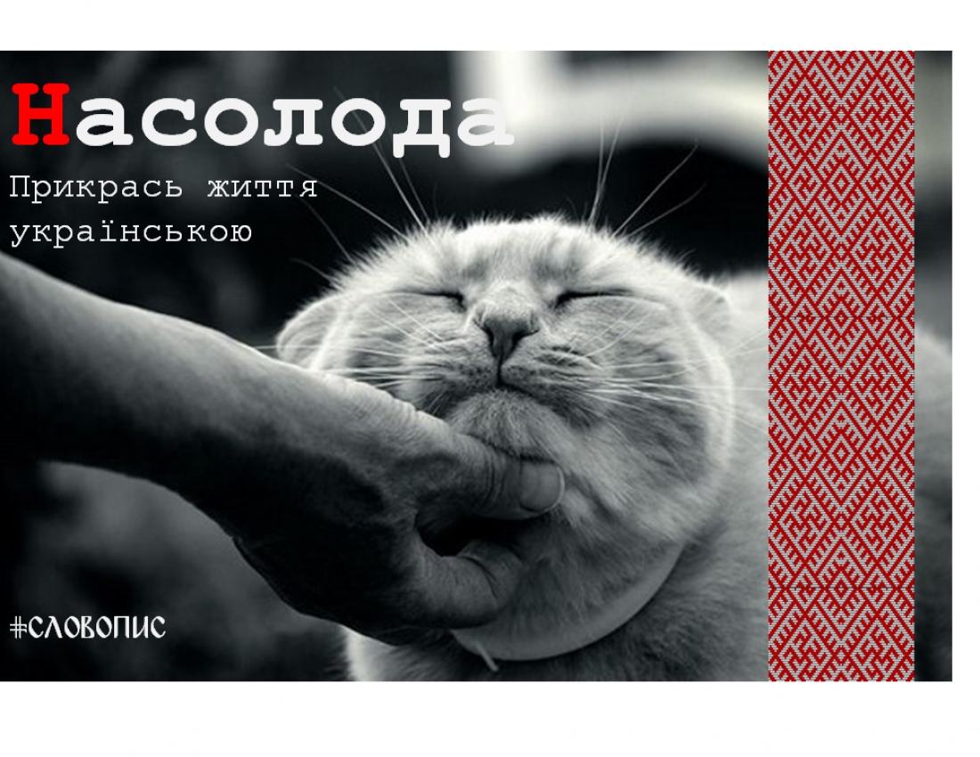 Прикрась життя УКРАЇНСЬКОЮ