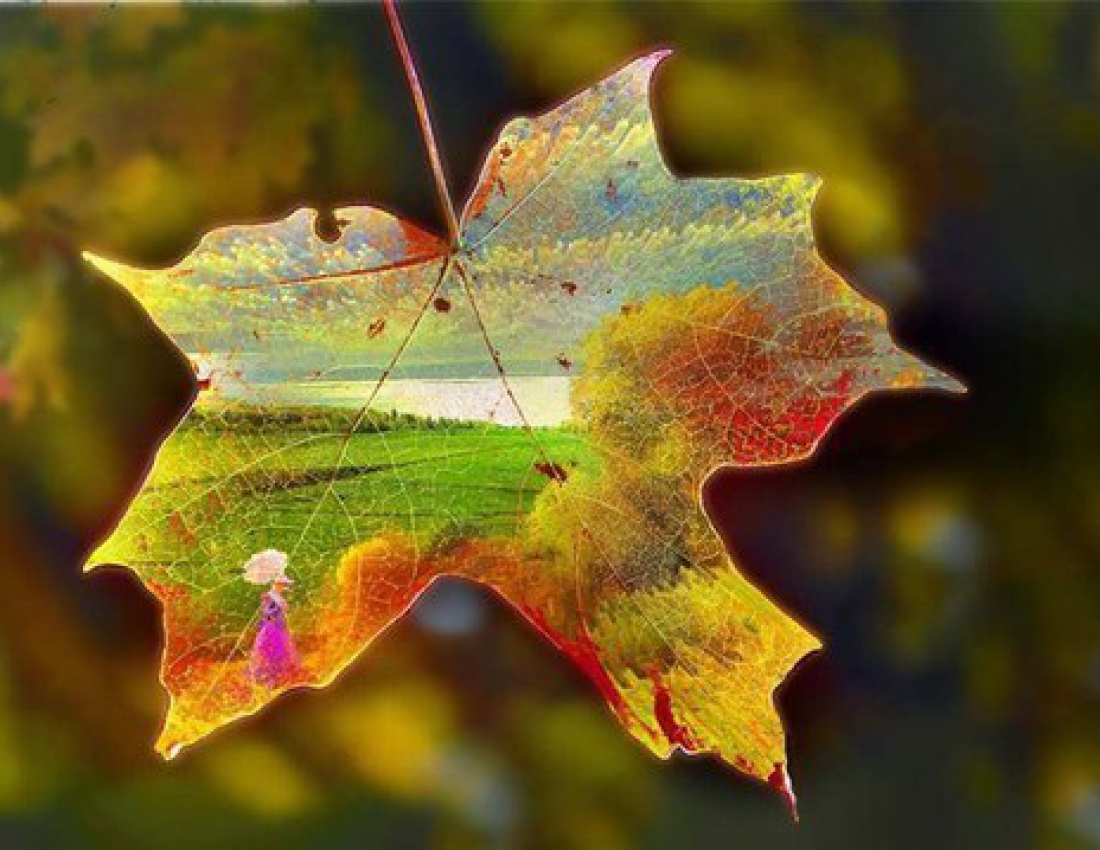 Шедеври золотої осені...