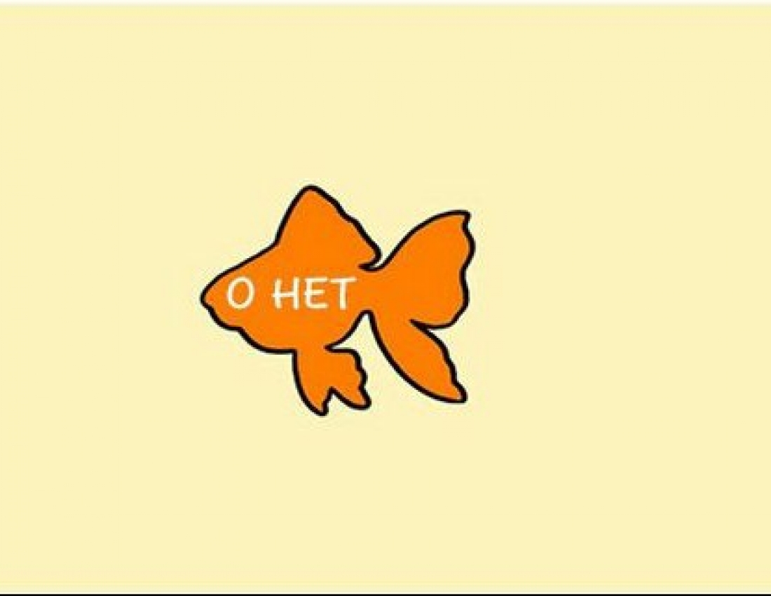 Як правильно гладити тварин