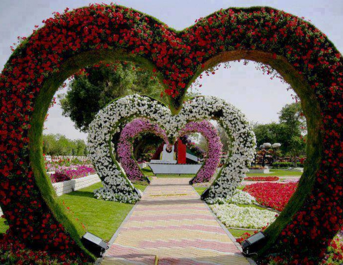 Магія квіткових арок