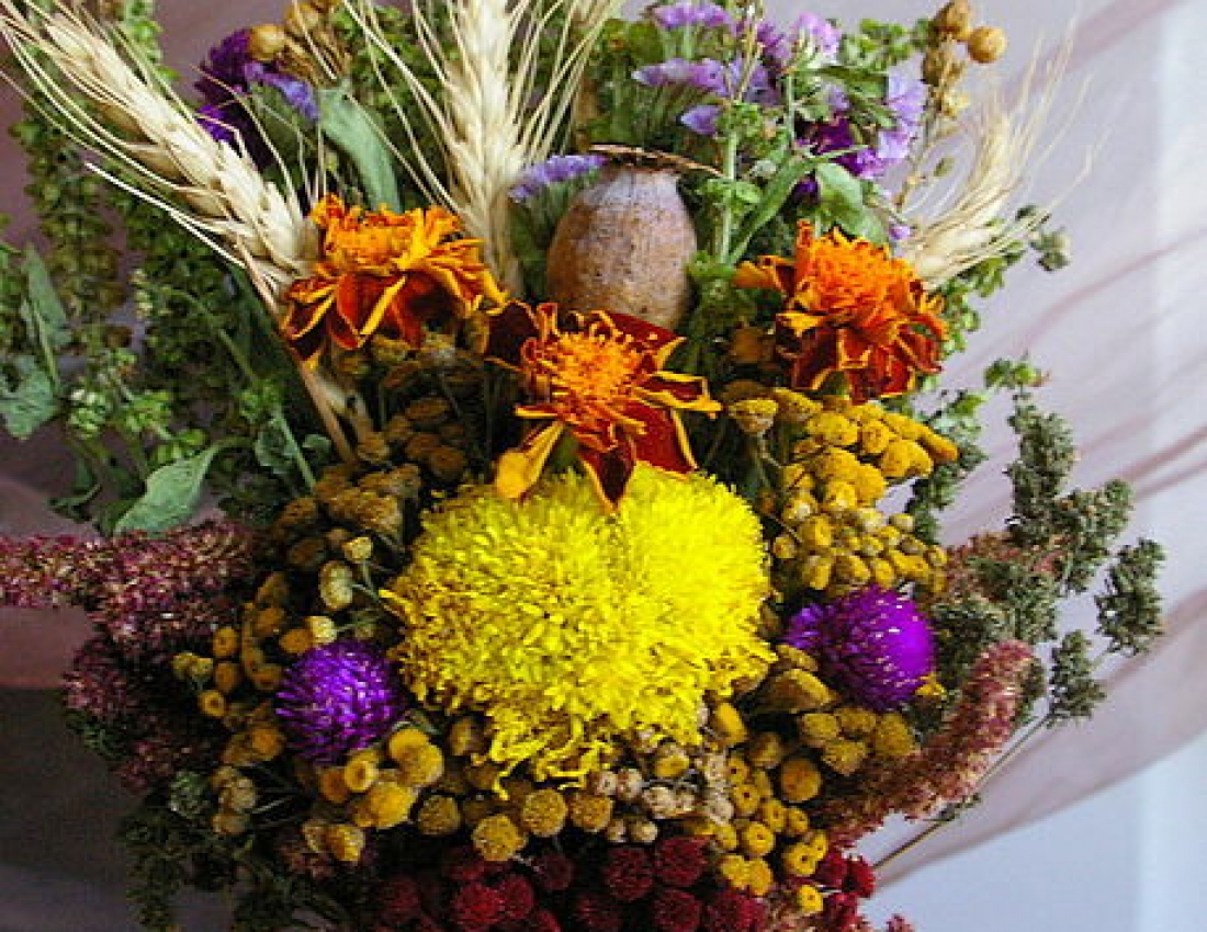 Healing Maccabees' flowers ...
