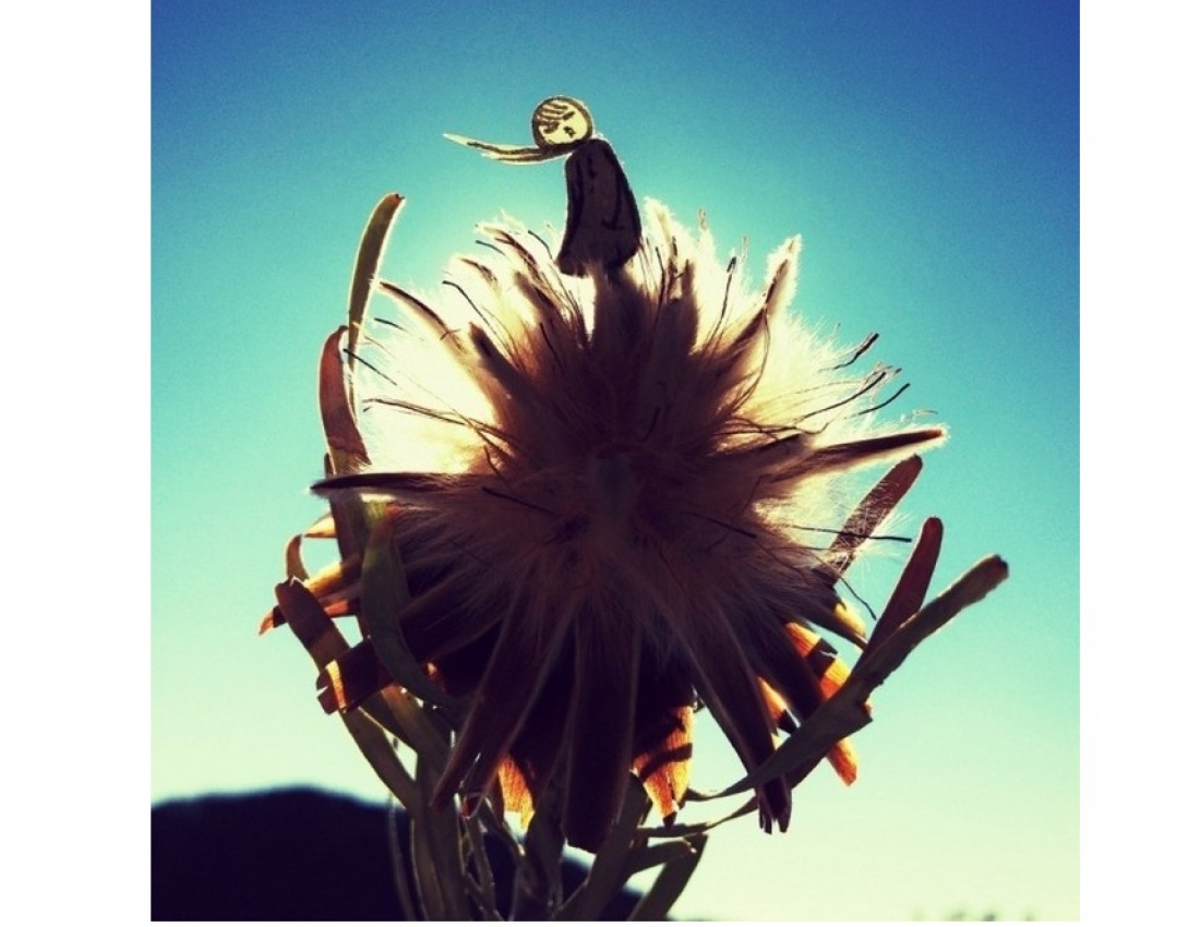 Життя в мініатюрі: паперові історії маленьких людей...