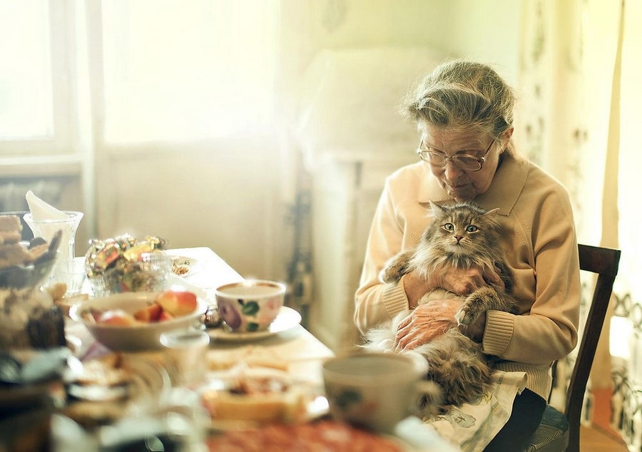 ФОТО ТИЖНЯ - 13.03.2017р.