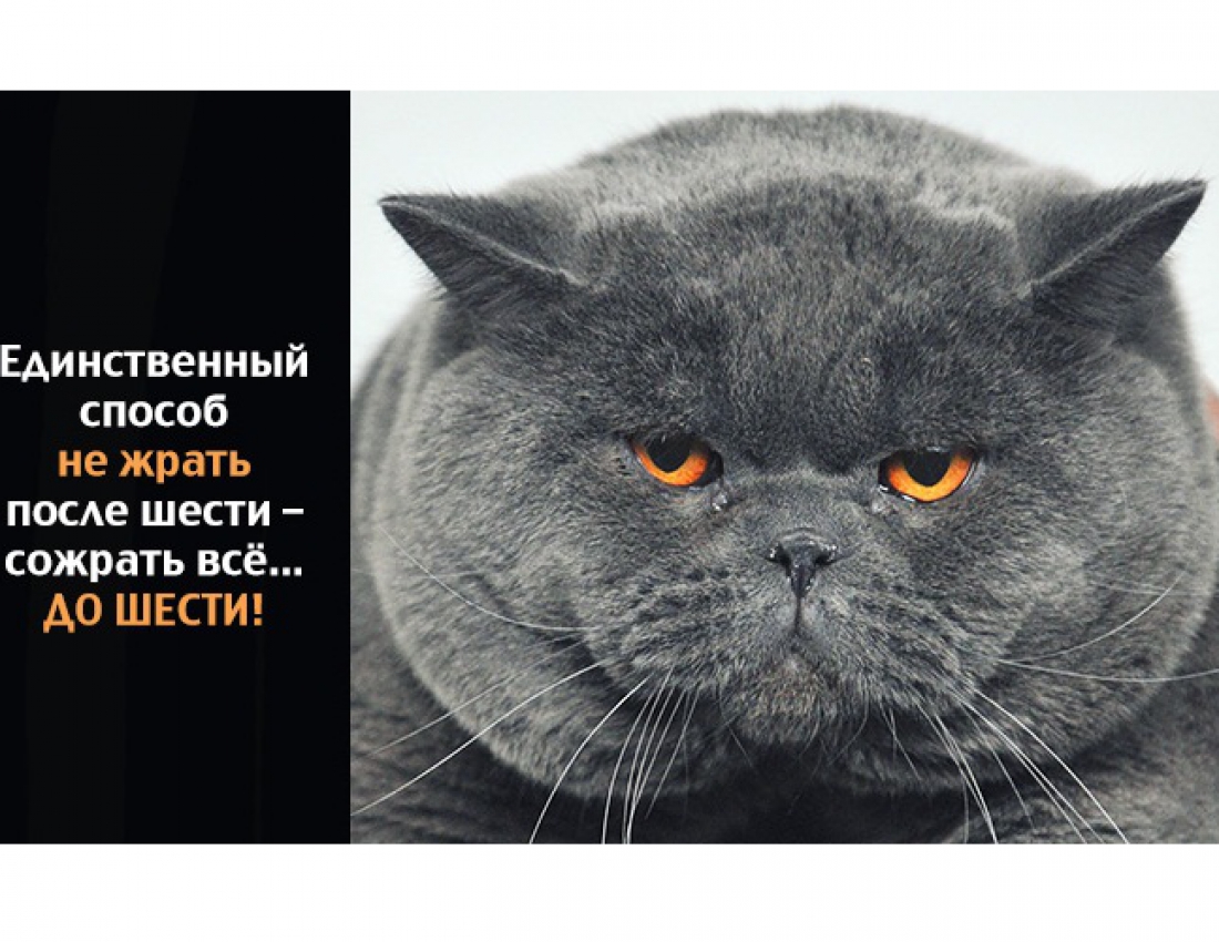 Правило №1 после шести... ))) Правило №1 после шести... )))