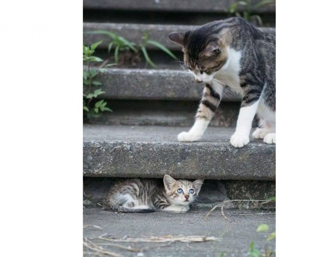 А  ось ти де!..