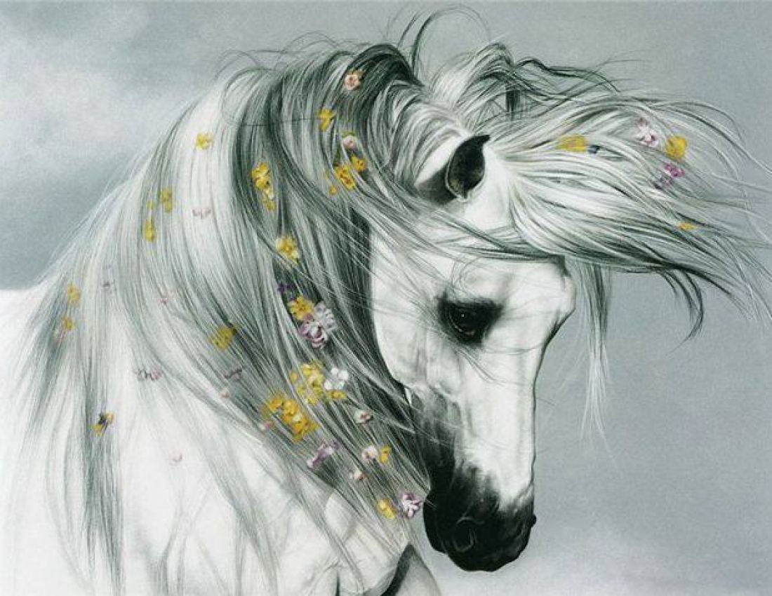 Красені-коні