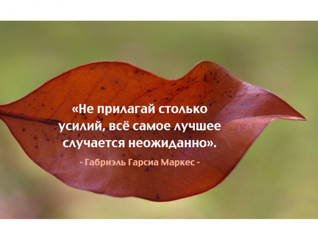 Как приятна неожиданность, и обязательно ПРИЯТНАЯ !!! Как приятна неожиданность, и обязательно ПРИЯТНАЯ !!!