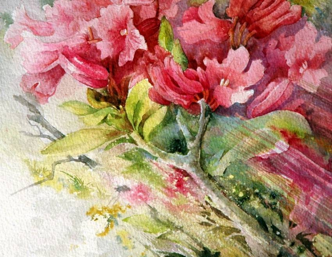 Квіткова ніжність. Акварелі  MARIE CLAIRE MOUDRU