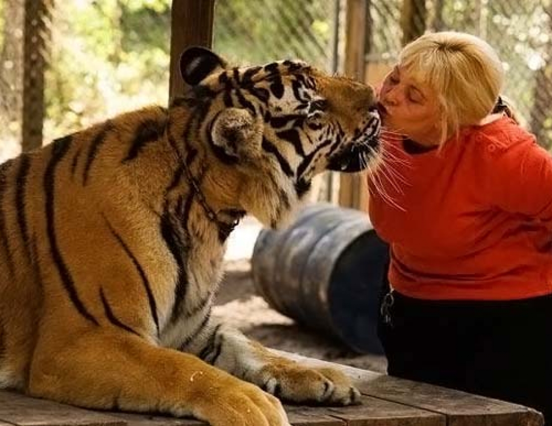 Коли тварини більше, ніж друзі ...