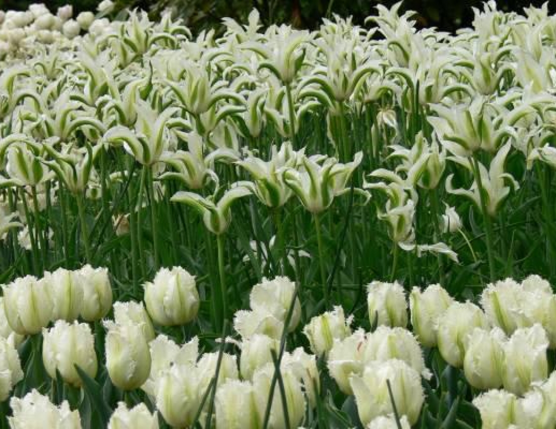 Світ, в якому ти живеш